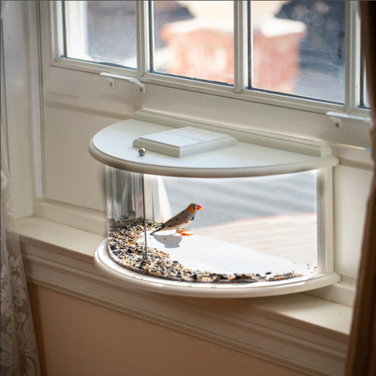 hiBirdie Window Bird Feeder