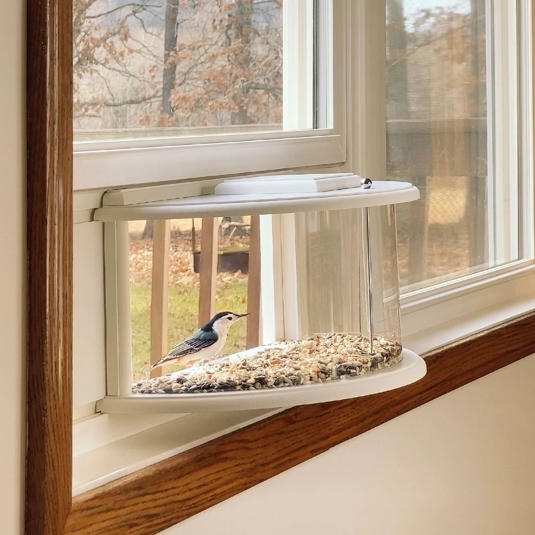 hiBirdie Window Bird Feeder